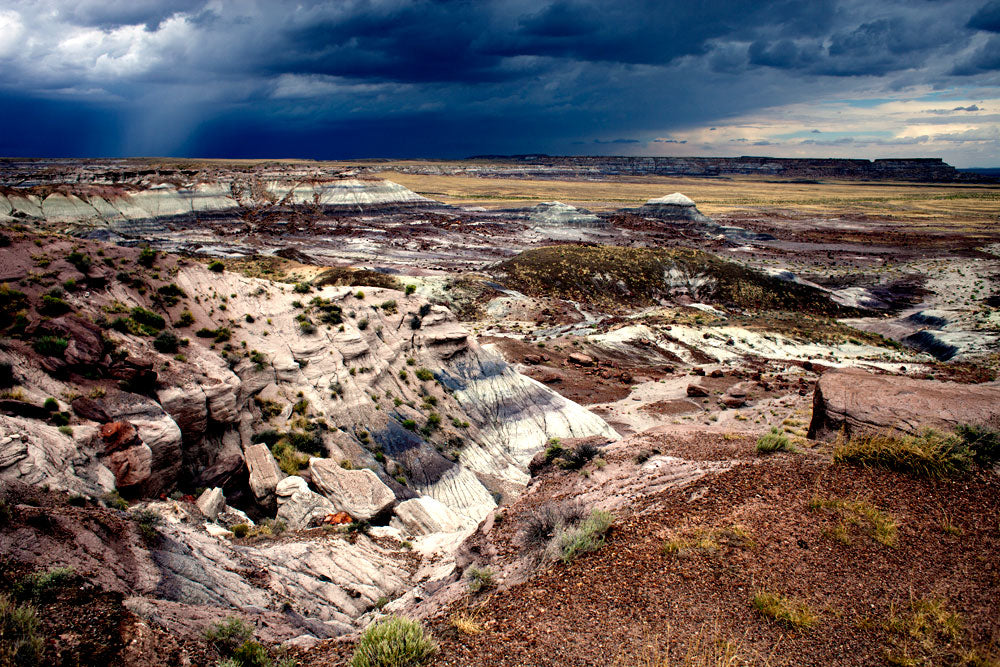 CHOOSE YOUR CUSTOM Fine Art Photo PRINT 24'x18' (60.96cm x 45.72cm) - Landscape or Portrait