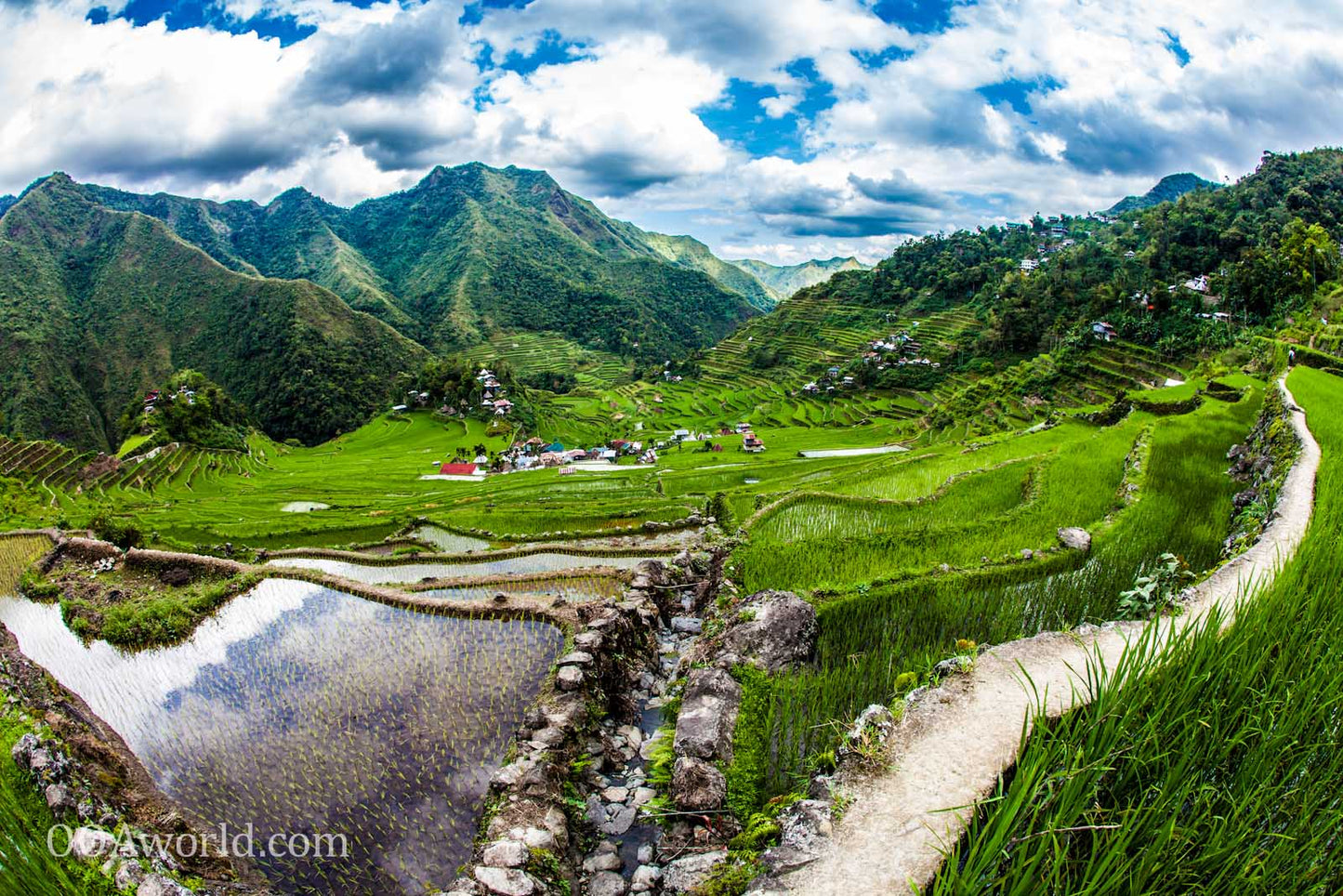 SIGNED CUSTOM Fine Art Photo PRINT 36'x24' (91.44cm x 60.94cm) - Landscape or Portrait