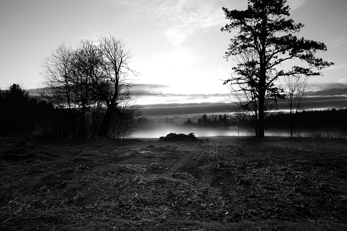 SIGNED CUSTOM Fine Art Photo PRINT 30'x20' (76.2cm x 50.8cm) - Landscape or Portrait